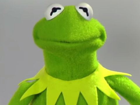 kermit confused